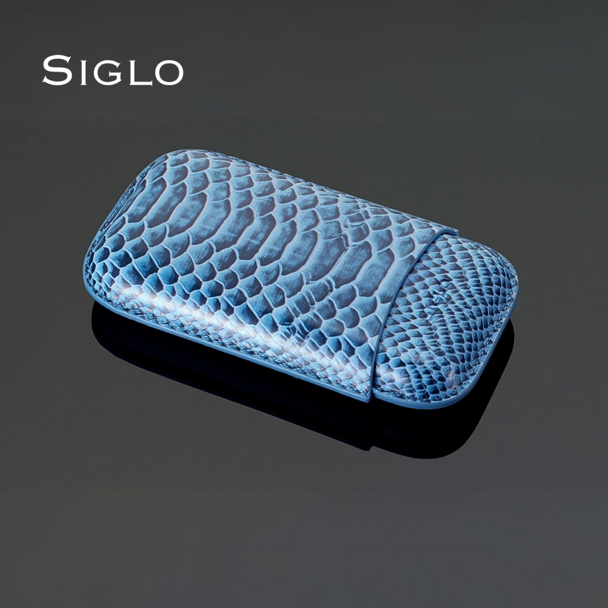 10012069D SIGLO Snake Print Leather Case - Blue