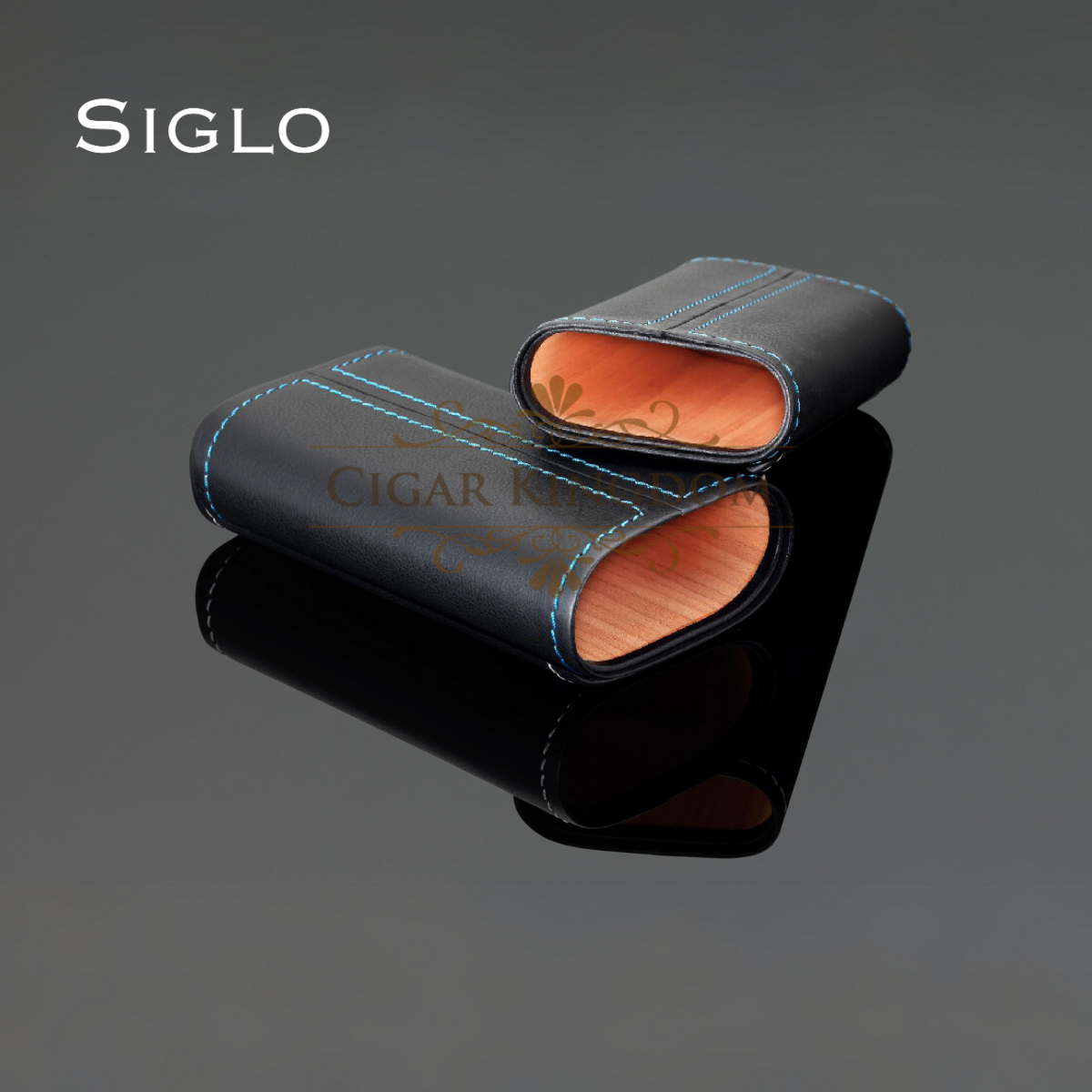 10010300D SIGLO Cedar Leather Case - Navy Stitch