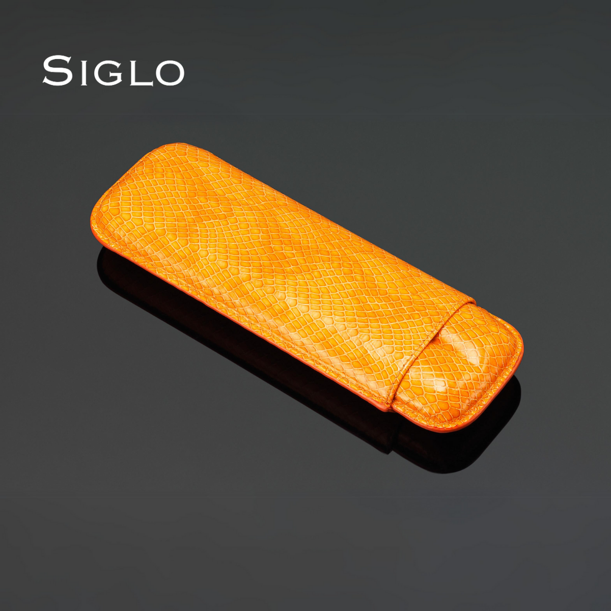 10011193D SIGLO Lizard PTN Case 2s - Orange
