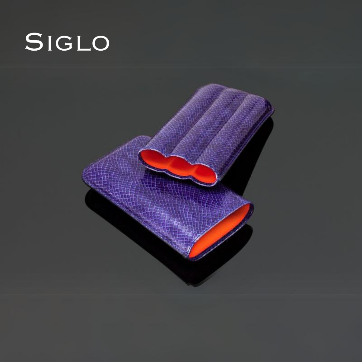 10011194D SIGLO Lizard PTN Case 3s - Indigo
