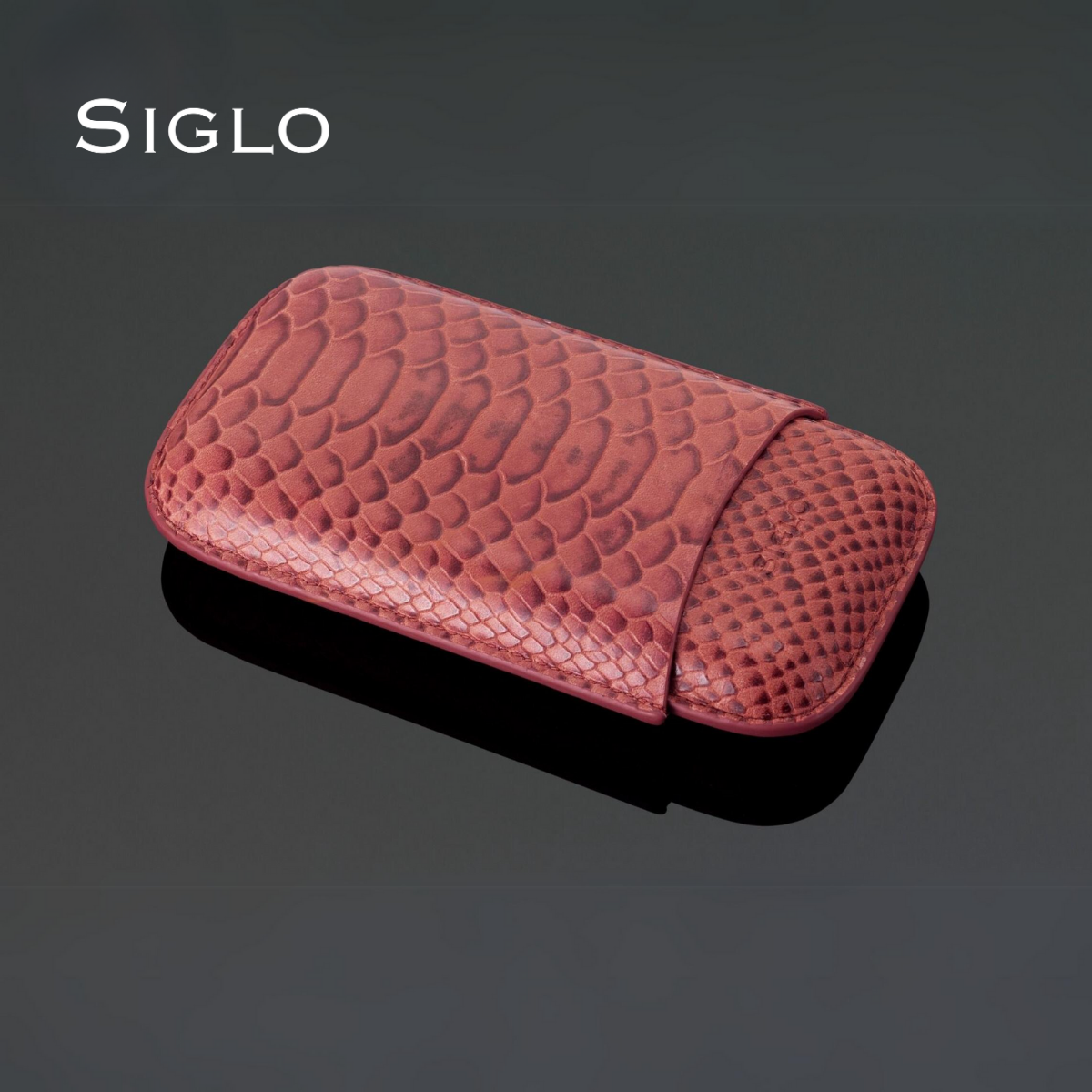 10012067D SIGLO Snake Print Leather Case - Red