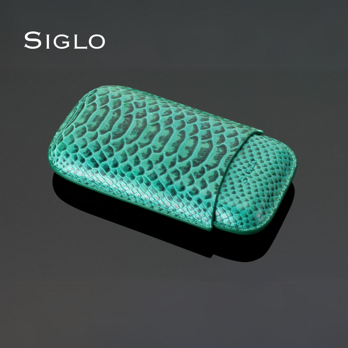 10012068D SIGLO Snake Print Leather Case - Green