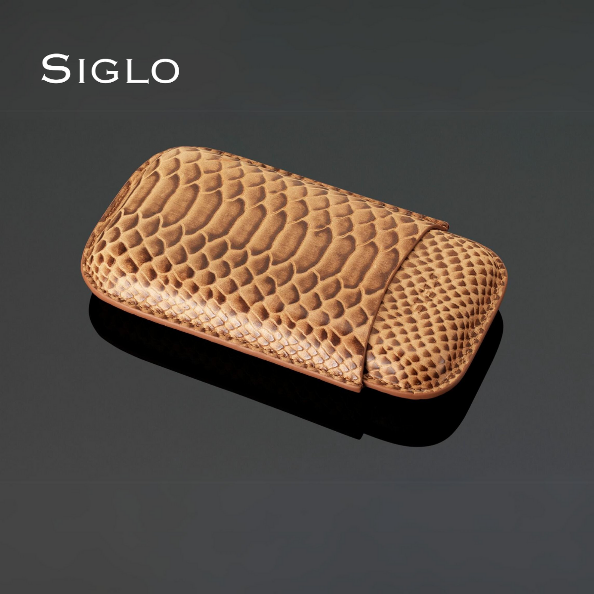 10012071D SIGLO Snake Print Leather Case - Brown