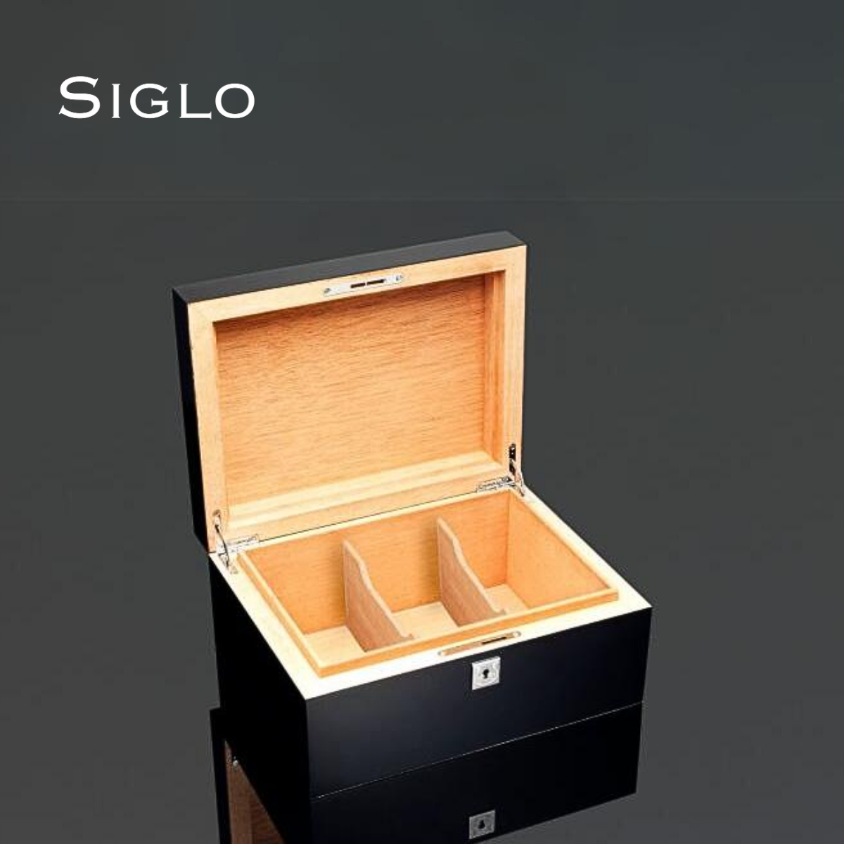 60700536D SIGLO Lenticular Humidor